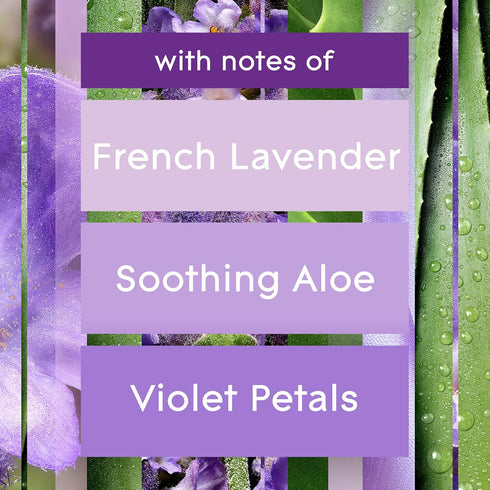 Glade Automatic Spray Refill, Air Freshener for Home and Bathroom, Tranquil Lavender & Aloe, 6.2 Oz...