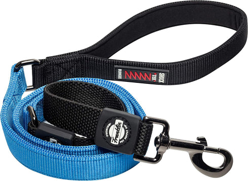 Franklin Pet Supply - Nylon Dog Leash - Comfort - Neoprene Handles- Shok-Tek Bungee System - 4 Foot - Dog Training - Walking...
