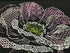 Riolis Cross Stitch, Lace Poppies (14 Count)...