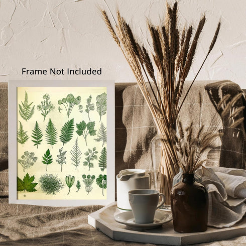 Posterizer 1 pcs-botanical illustration of a variaty of plants-educational art 4-Floral & Botanical Art Gift for Men Women Entrepreneur Teens Dec...
