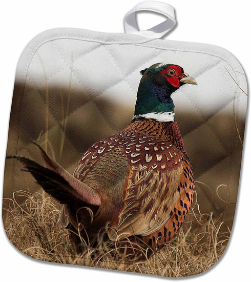 3D Rose Ring Neck Pheasant Pot Holder, 8 x 8...