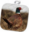 3D Rose Ring Neck Pheasant Pot Holder, 8 x 8...