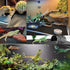 Bearded Dragon Tank Accessories, Non-Adhesive Reptile Carpet Bedding Substrate for Terrarium, Reptile Mat Terrarium Liner Tank Flooring for Leopar...
