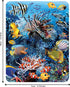 Magnet - Wonders of The Reef from Deluxebase. Lenticular 3D Coral Reef Fridge Magnet. Magnetic Decor for Kids and Adults with Artwork Licensed fro...