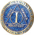 1 Year AA Medallion Reflex Blue Glitter Gold Plated Color Chip...