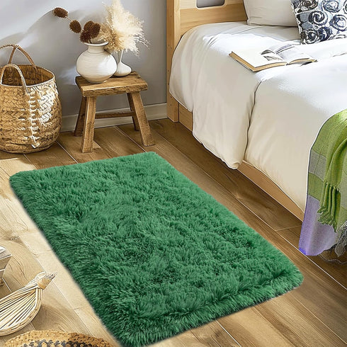 Small Rugs for Bedroom, 2x3 Fluffy Bedroom Rug, Soft Fuzzy Area Rug for Living Room Dorm, Non Slip Shag Rugs for Girls Boys Bedroom, Soft Kids Car...