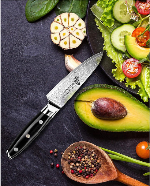 TUO Paring Knife 3.5 Inch - Ultra Sharp Peeling Knife - High Carbon Stainless Steel - Full Tang G10 Handle with Gift Box - Black Hawk S Series...