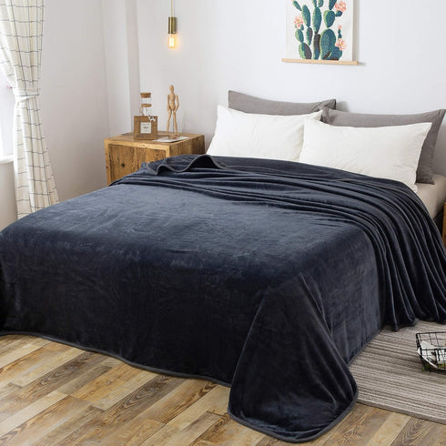 Fleece Blanket Queen Size for All Season 350GSM - Premium Lightweight Anti-Static Throw for Queen/Full Size Bed Extra Soft Brush Fabric Warm Sofa ...