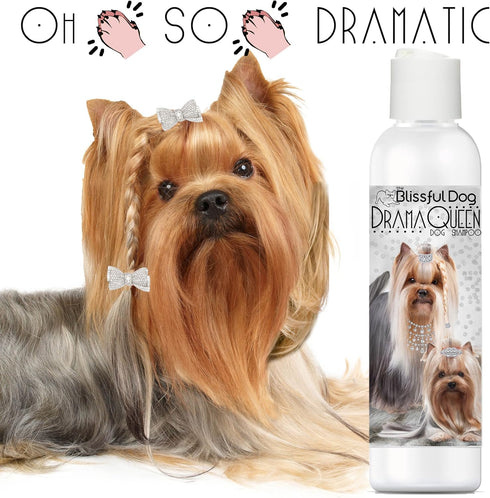 The Blissful Dog Drama Queen Luxury Dog Shampoo - Yorkshire Terrier, Nourishing Pet Supplies, Dog Grooming Supplies for Soft, Silky, Shiny Coat, M...