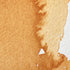 Winsor & Newton Professional Water Colour Paint, 0.17-oz Tube, Gold Ochre...