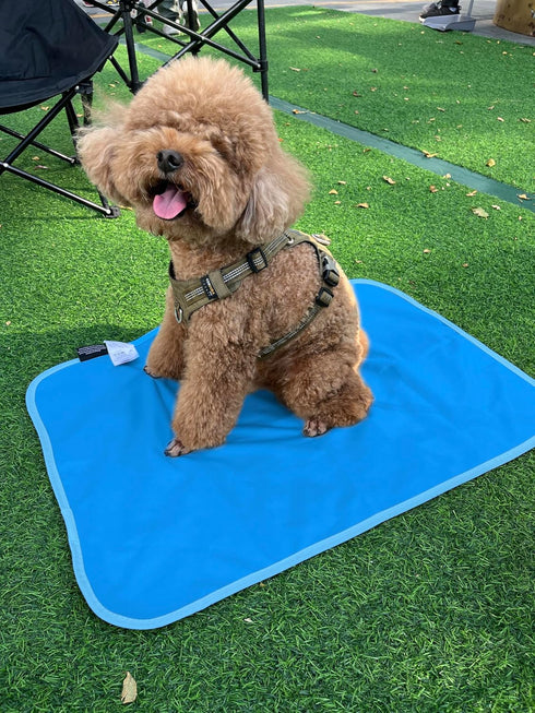 Kritter Planet Waterproof Cooling Dog Mat, Soft Cooling Pet Blanket for Summer, Lightweight Cooling Outdoor Mat, Reversible Furniture Cover Couch ...