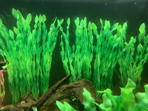 BEGONDIS 14 Pcs Artificial Green Seaweed Water Plants, Fish Tank Aquarium Decorations, Made of Soft Plastic...