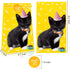 Cat Gift Bags Kitten Paper Goodie Candy Treat Bags for Kids Birthday Pet Adoption Cat Theme Party Decoration Supplies Favors Kitten Themed Goodie ...
