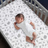 Lambs & Ivy Star Wars Signature Rebels Rule Cotton Fitted Crib/Toddler Sheet...
