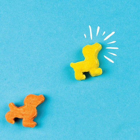 Plus - Puffed Dog Treats with Prebiotics and Probiotics - Chicken & Cheddar Cheese (16oz) - Made in USA...