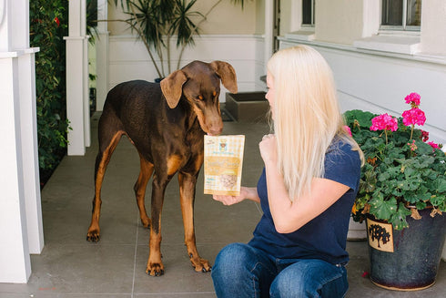 Freeze Dried Superfood Snacks for Dogs Pumpkin+Kale All Natural Dog Treat...
