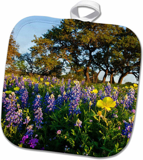 3D Rose Flowers and Live Oak in Texas Hill Country. Pot Holder, 8 x 8...