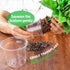 Bonviee 36 Packs 3.5/4/5 Inch Clear Nursery Pots, Transparent Plastic Planter with Drainage Holes, Seed Starting Pot Flower Plant Container -Clear...