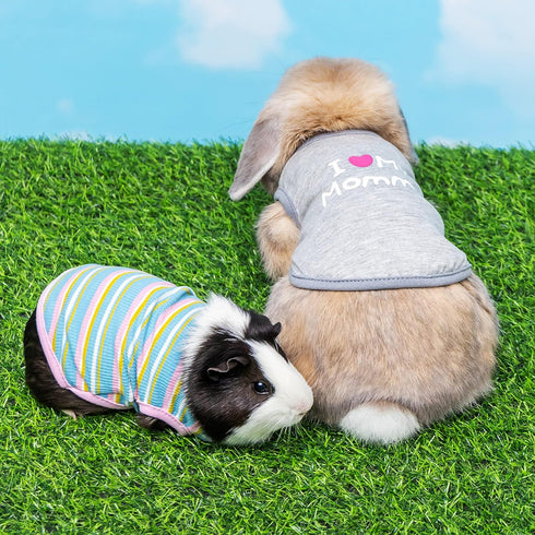 Guinea Pig Clothes - 2 Pack Cute Small Animal Vest Clothes for Rat Rabbit Chinchila ferret Kitten Chihuahua MiniDogs - Soft Breathable T-Shirt Pet...