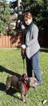 Dog Leash 8ft Long - Black - Traffic Padded Two Handle - Heavy Duty - Double Handles Lead for Control Safety Training - Leashes for Large Dogs or ...