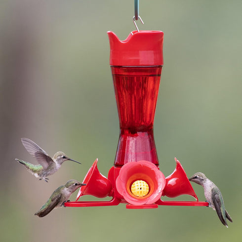 Perky-Pet 203CPBR Pinchwaist Hummingbird Feeder, Red Glass...