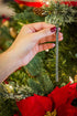 Scentsicles O Christmas Tree Scented Christmas Ornaments with Hooks - 3 Bottles (18 Sticks Total)...