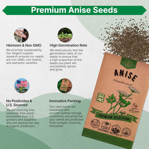 Anise Seeds Pack 5G - Over 1800 Non-GMO Heirloom Anise Seeds for Planting Herbs in Individual Seed Packet, Herbs Seeds for Planting Home Garden In...