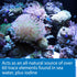 API MARINE COMPLETE TRACE Aquarium Water Conditioner 16-Ounce Bottle...