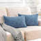 Home Brilliant 12x20 Pillow Cover for Couch Chair Super Soft Lumbar Throw Pillow Cover for Women Kids Girls, Pack of 2, 30cm x 50cm(12x20 inches),...