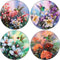 CoasterStone Absorbent Coasters, 4-1/4-Inch, Hummingbirds in Floral, Set of 4...