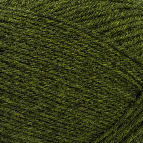 Lion Brand Yarn Wool-Ease Recycled Yarn, 1 Pack, Olive......