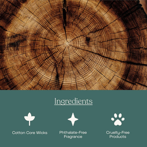 Anecdote Candles 'Comfort Zone' Coconut Soy Wax Candle Jar | Premium Hand Poured & Long Burning |Coffee & Cedarwood Scent | Phthalate-Free | for H...