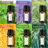 Earnest Living Tea Tree Oil Peppermint Oil Lavender Oil Essential Oil Set for Diffusers for Home Oil Diffuser Essential Oils Eucalyptus Essential ...
