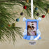 Hallmark Christmas Ornaments, Disney Cinderella Dog Picture Frame Ornament, Cinderella Dog Frame (2HCM5407)...