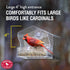 Perky-Pet 345 Clear Outdoor Window Bird Feeder with Strong Suction Cups – 1/2 Lb Seed Capacity...