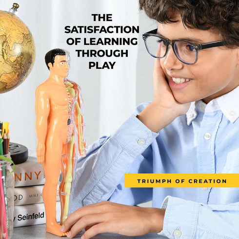 Human Anatomy for Kids Removable Skeleton Model and Torso Human Body for Kids STEM Toys Science Kit Full Body Anatomy Sets for Kids and Teens - 30...