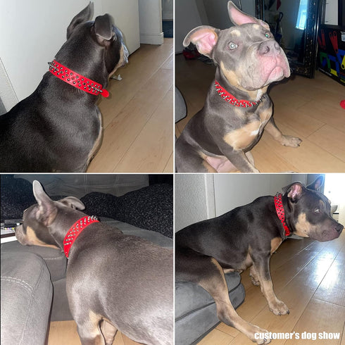 TEEMERRYCA Adjustable Microfiber Leather Spiked Studded Dog Collars with a Squeak Ball Gift for Small Medium Large Pets Like Cats/Pit Bull/Bulldog...