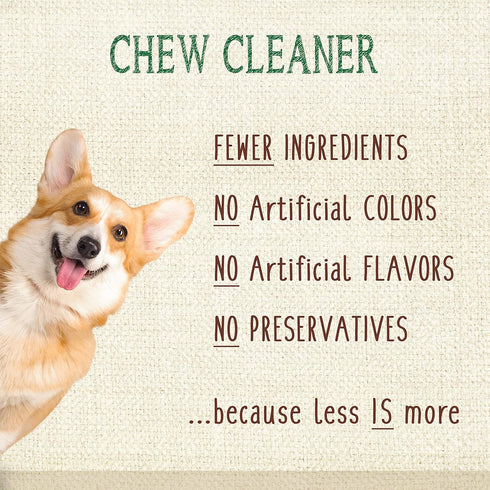 Nylabone Nutri Dent Dog Dental Chews - Natural Dog Teeth Cleaning & Breath Freshener - Dental Treats for Dogs - Filet Mignon Flavor, Small (28 Cou...