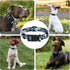 Dog Collar for Boys Girls, Floral Puppy Collar for Small Medium Large Dogs, Adjustable Floral Pattern Soft Pet Collar with Safety Buckle for Male ...