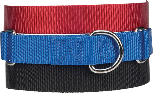 Guardian Gear Nylon Martingale Dog Collar, Fits Necks 14" to 20", Blue...
