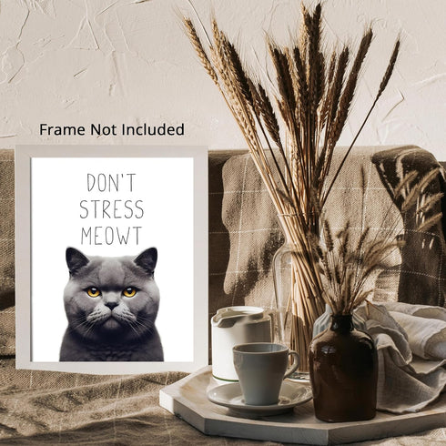Posterizer 1 pcs-Don’t Stress Meowt-Funny Art for cat lovers-Comedy Art-Art for Animal Lovers-Decor for Home & Office- UNFRAMED Wall Art...