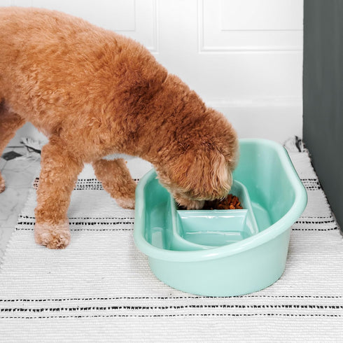 SPORT PET High Walled Double Diner Tray, Blue...