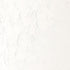 Winsor & Newton Winton Oil Color, 37ml (1.25-oz) Tube, Titanium White...