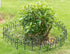 Gardenised QI003741.LB Decorative Black Vinyl Garden Patio Lawn Fence Landscape Panel Border, 24 x 13...