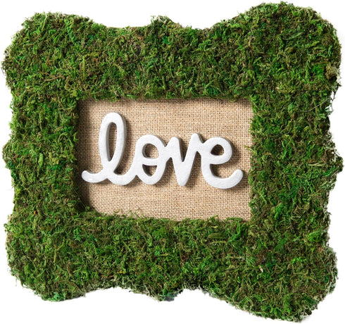 SuperMoss (22420) InstantGreen Moss Mat, Fresh Green, 18 x 16""...