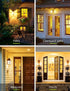 LOHAS Bug Light Bulb Yellow LED Bulbs, Outdoor Porch Lights, Amber Bedroom Night Light Bulb A15 Bugs LED Bulbs, 40W Equivalent E26 Edison Bulb(5W)...