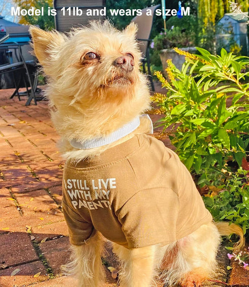 Cute Dog Clothes,Dog T Shirt for Medium Dogs.Dog Clothes for Small Dogs Girl Boy,Puppy.Breathable Soft Dog Costume Pet Dogs Cats,Pet Pullover Jump...