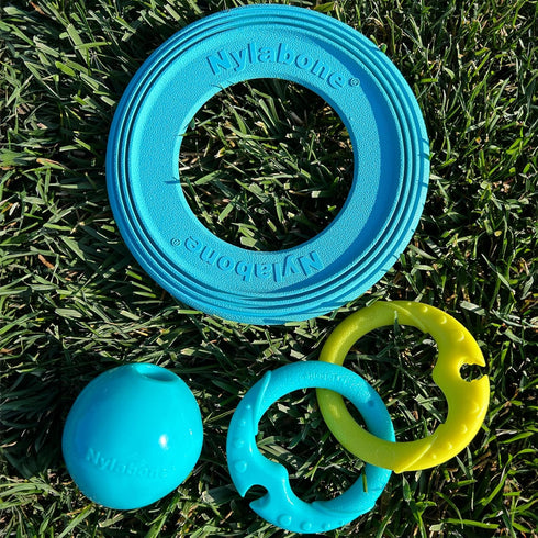 Nylabone Power Play Puppy Tug-a-Ball - Puppy Tug Toy - Interactive Puppy Enrichment Toys - Puppy Must Haves (1 Count)...