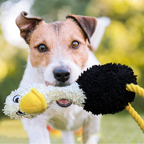 rocket & rex 3-Pack Dog Chew Toy Gift Set | Rope Toy, Rubber Squeaker Toy and Plush Toy with Ball | Puppies, Small to Medium Breeds | Safe & Non-T...