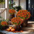 Artificial Fall Flowers Outdoor Fake Mums - 12 Bundles Fake Plants UV Resistant No Fade Faux Plastic Greenery Garden Porch Patio Fall Home Decor (...